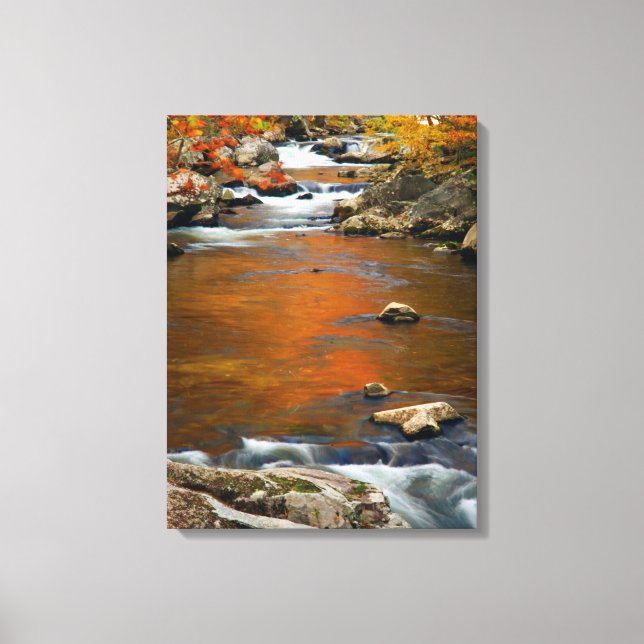 Lienzo EE. UU., Tennessee. Rushing Mountain Creek 4 (Anverso)