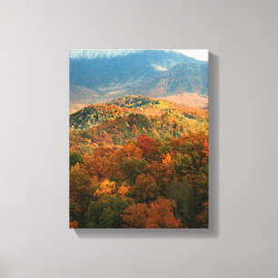Lienzo EE. UU., Tennessee. Vista del nevado Monte Leconte