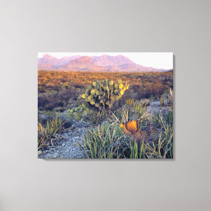 Lienzo EE. UU., Texas, Big Bend NP. Un anochecer arenoso 