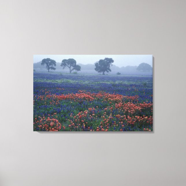 Lienzo EE. UU., Texas, cerca de Lytle Fog, robles, blue b (Anverso)