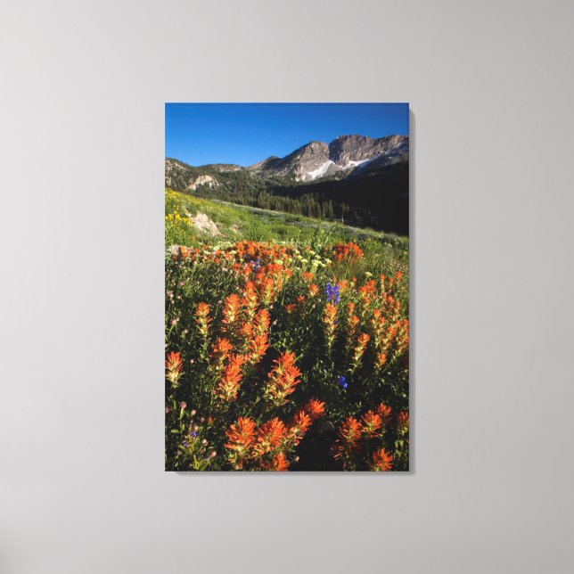 Lienzo EE. UU., Utah, Bosque Nacional Uinta-Wasatch-Cache (Anverso)