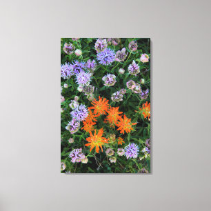 Lienzo EE.UU., Utah, Bosque Nacional Uinta-Wasatch Cache