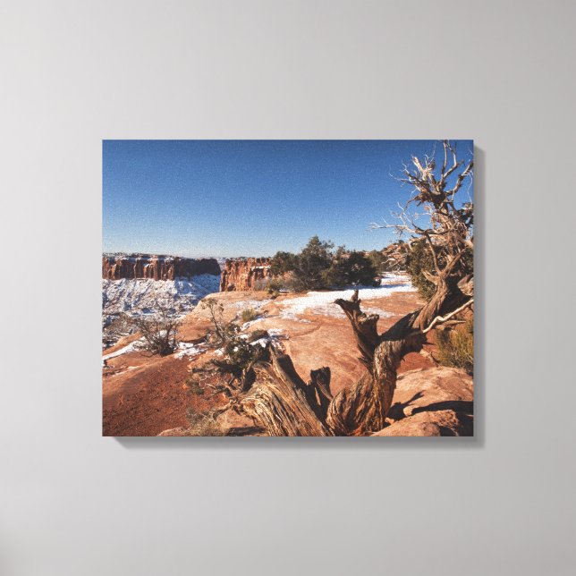 Lienzo EE. UU., Utah, Moab. Parque Nacional Canyonlands, (Anverso)