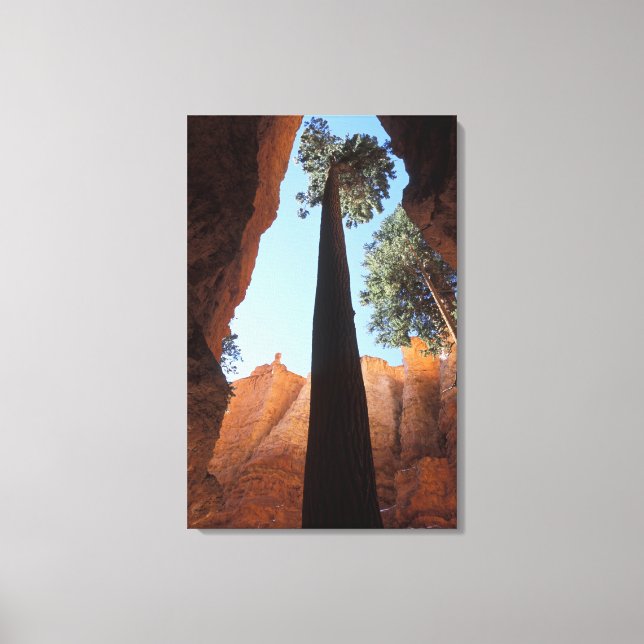 Lienzo EE. UU., Utah, Parque Nacional Bryce Canyon. Alto (Anverso)