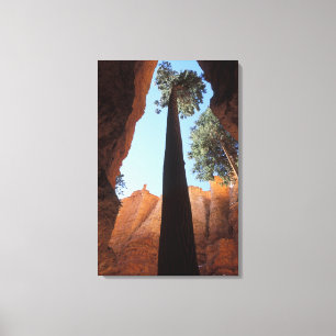 Lienzo EE. UU., Utah, Parque Nacional Bryce Canyon. Alto