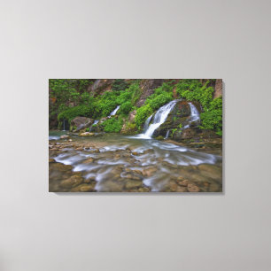 Lienzo EE.UU., Utah, Parque Nacional Zion.  Big Springs i