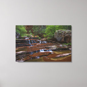 Lienzo EE.UU., Utah, Parque Nacional Zion. Escena de 4