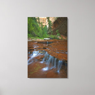 Lienzo EE. UU., Utah, Parque Nacional Zion. Escénico desd