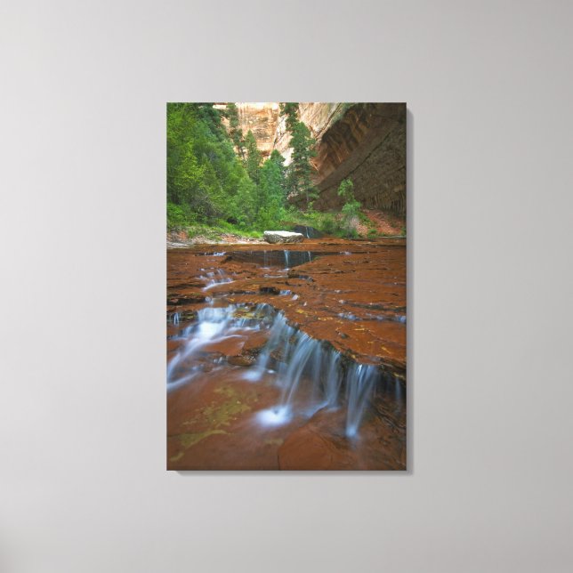 Lienzo EE. UU., Utah, Parque Nacional Zion. Escénico desd (Anverso)