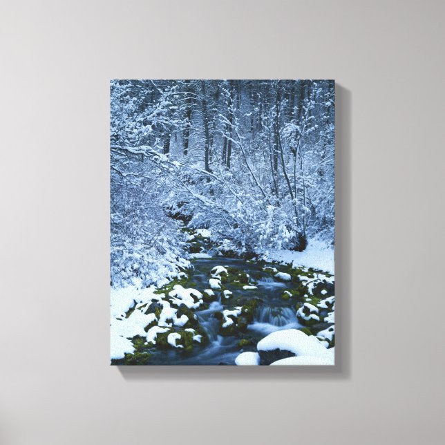 Lienzo EE.UU., Utah, Wasatch-Catch National Forest, (Anverso)