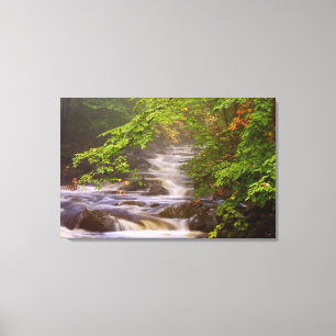 Lienzo EE.UU., Vermont, East Arlington, Flujos