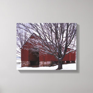 Lienzo EE.UU., Virginia, Condado de Fairfax, Barn y Maple