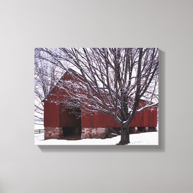Lienzo EE.UU., Virginia, Condado de Fairfax, Barn y Maple (Anverso)