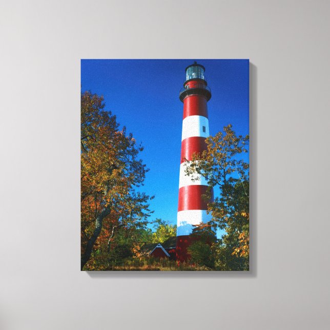 Lienzo EE.UU., Virginia, Isla Assateague, Chincoteague (Anverso)