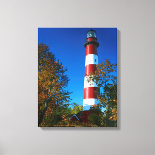 Lienzo EE.UU., Virginia, Isla Assateague, Chincoteague