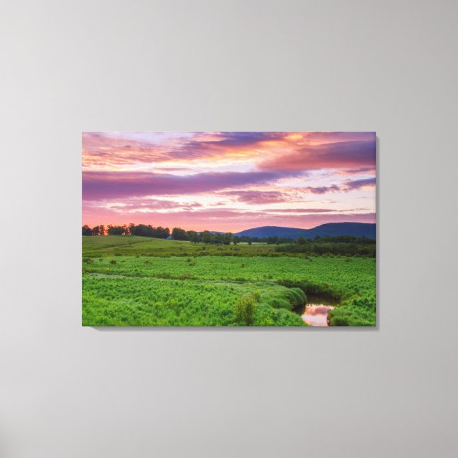 Lienzo EE.UU., Virginia Occidental, Davis. Paisaje (Anverso)