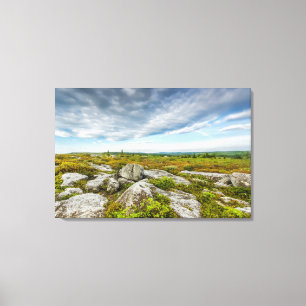 Lienzo EE.UU., Virginia Occidental, Davis. Paisaje en Dol