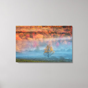 Lienzo EE.UU., Virginia Occidental, Davis. Valle y valle 