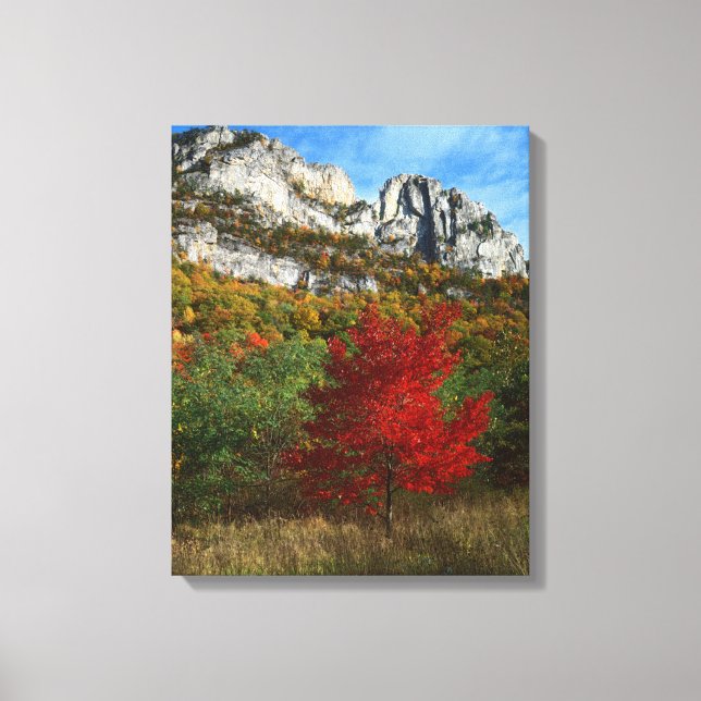 Lienzo EE. UU., Virginia Occidental, Spruce Knob-Seneca R (Anverso)