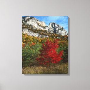 Lienzo EE. UU., Virginia Occidental, Spruce Knob-Seneca R