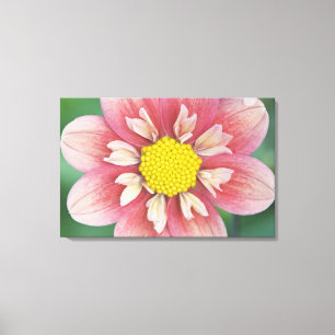 Lienzo EE.UU., Washington, Bellevue, Botánica Bellevue