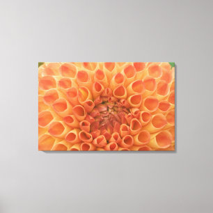 Lienzo EE.UU., Washington, Bellevue, Botánica Bellevue 3