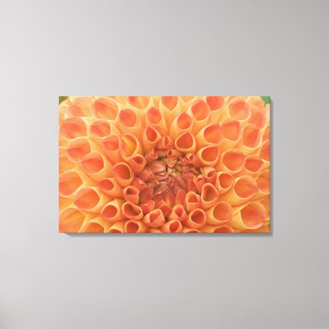 Lienzo EE.UU., Washington, Bellevue, Botánica Bellevue 3 (Anverso)