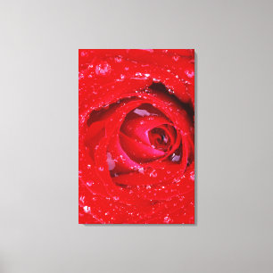 Lienzo EE.UU., Washington, Condado de Spokane, Manito Par