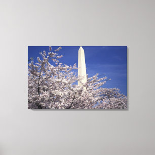 Lienzo EE. UU., Washington DC. Festival de las flores de 