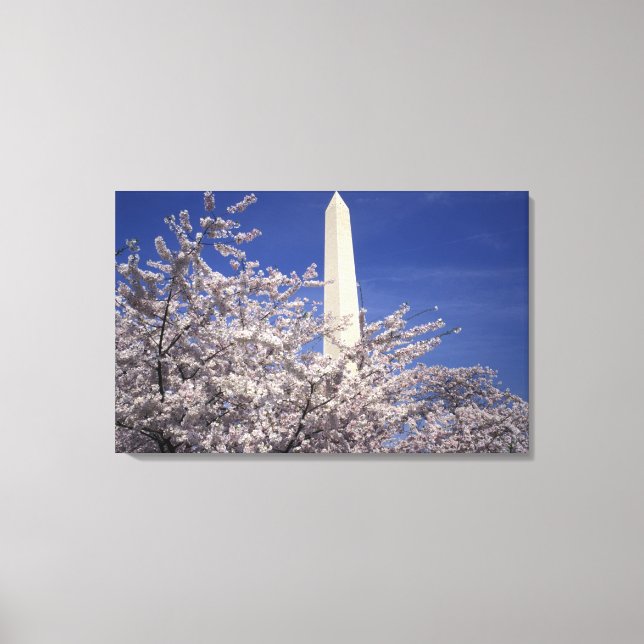Lienzo EE. UU., Washington DC. Festival de las flores de  (Anverso)