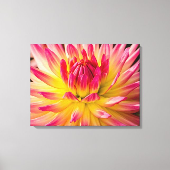 Lienzo EE. UU., Washington. Detalle de la flor de dalia (Anverso)