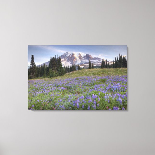 Lienzo EE. UU., Washington, Mt. Rainier NP, Mt. Rainier y (Anverso)