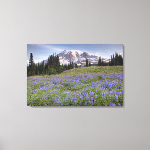 Lienzo EE. UU., Washington, Mt. Rainier NP, Mt. Rainier y
