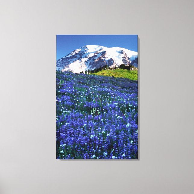 Lienzo EE. UU., Washington, Parque Nacional Mt. Rainier.  (Anverso)