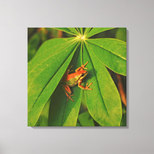 Lienzo EE.UU., Washington, Seattle, Discovery Park 2