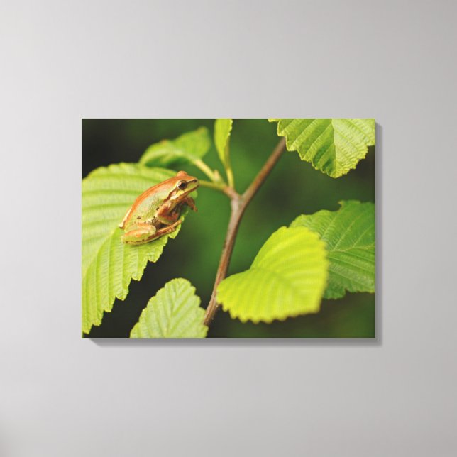 Lienzo EE.UU., Washington, Seattle, Parque Discovery (Anverso)