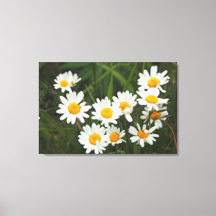 Lienzo EE.UU., Washington, Seattle, Puget Sound 3