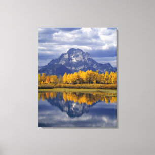 Lienzo EE. UU., Wyoming, Parque Nacional Grand Teton. Con