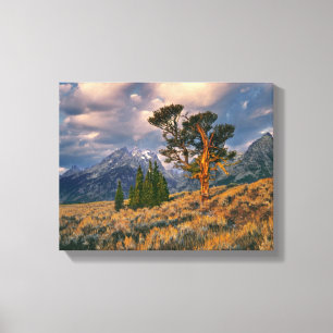 Lienzo EE. UU., Wyoming, Parque Nacional Grand Teton. El