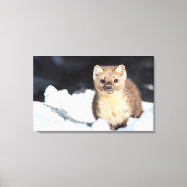 Lienzo EE.UU., Wyoming, Parque Nacional Yellowstone (Anverso)