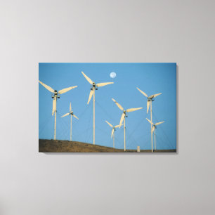 Lienzo EEUU, California, Altamont Pass, generadores eóli