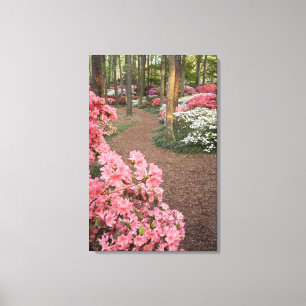 Lienzo EEUU, Georgia, Montaña Pina. Un camino a través 