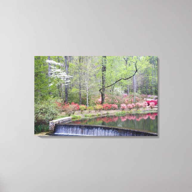 Lienzo EEUU, Georgia, Montaña Pine. Una pequeña cascada (Anverso)