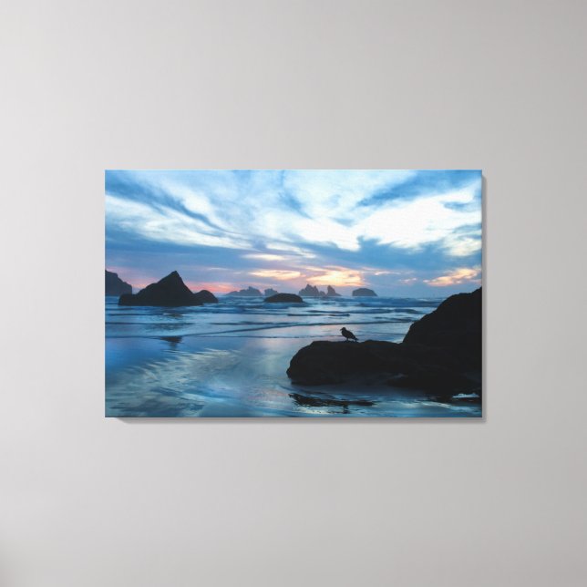 Lienzo EEUU, Oregón, Bandon Beach. Gaviota en roca (Anverso)