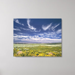 Lienzo EEUU, Oregón, Steens Mountain. Burgueses de primav