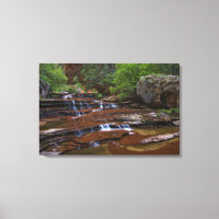 EEUU, Utah, Parque Nacional Zion. Escena de 4