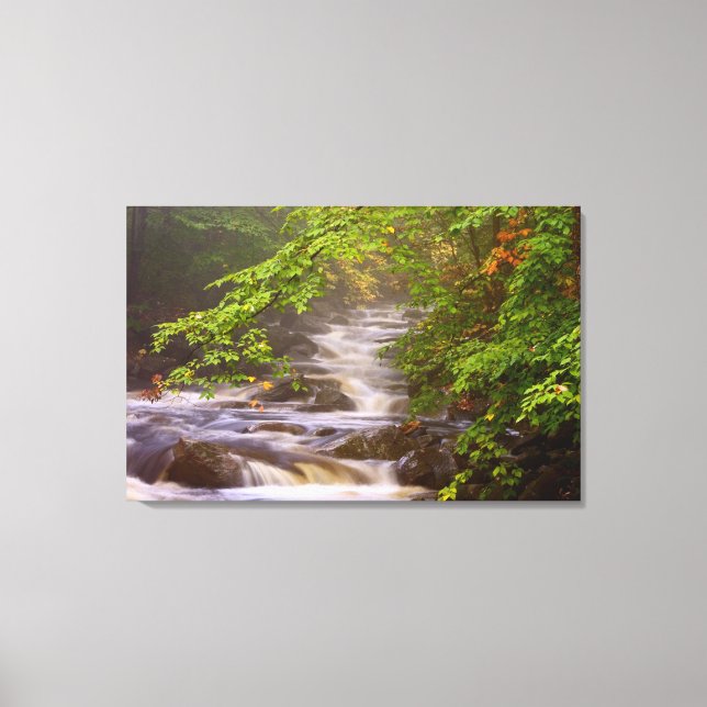 Lienzo EEUU, Vermont, East Arlington, Flujos (Anverso)