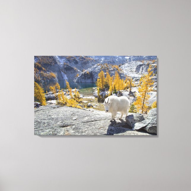 Lienzo EEUU, WA, los lagos alpinos y los encantos de la m (Anverso)