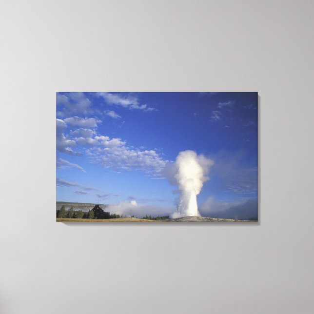 Lienzo EEUU, Wyoming. Parque nacional Yellowstone. Viejo (Anverso)