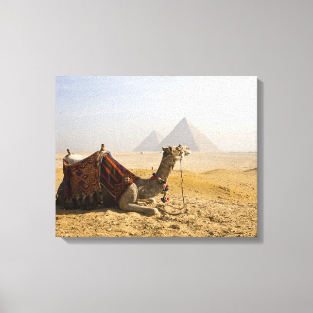 Lienzo Egipto, El Cairo. Un camello solitario (Anverso)